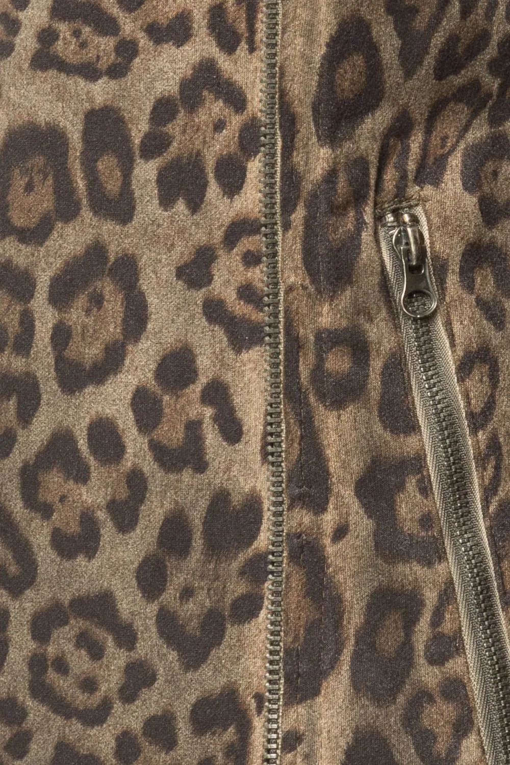 Big Cat Jacket