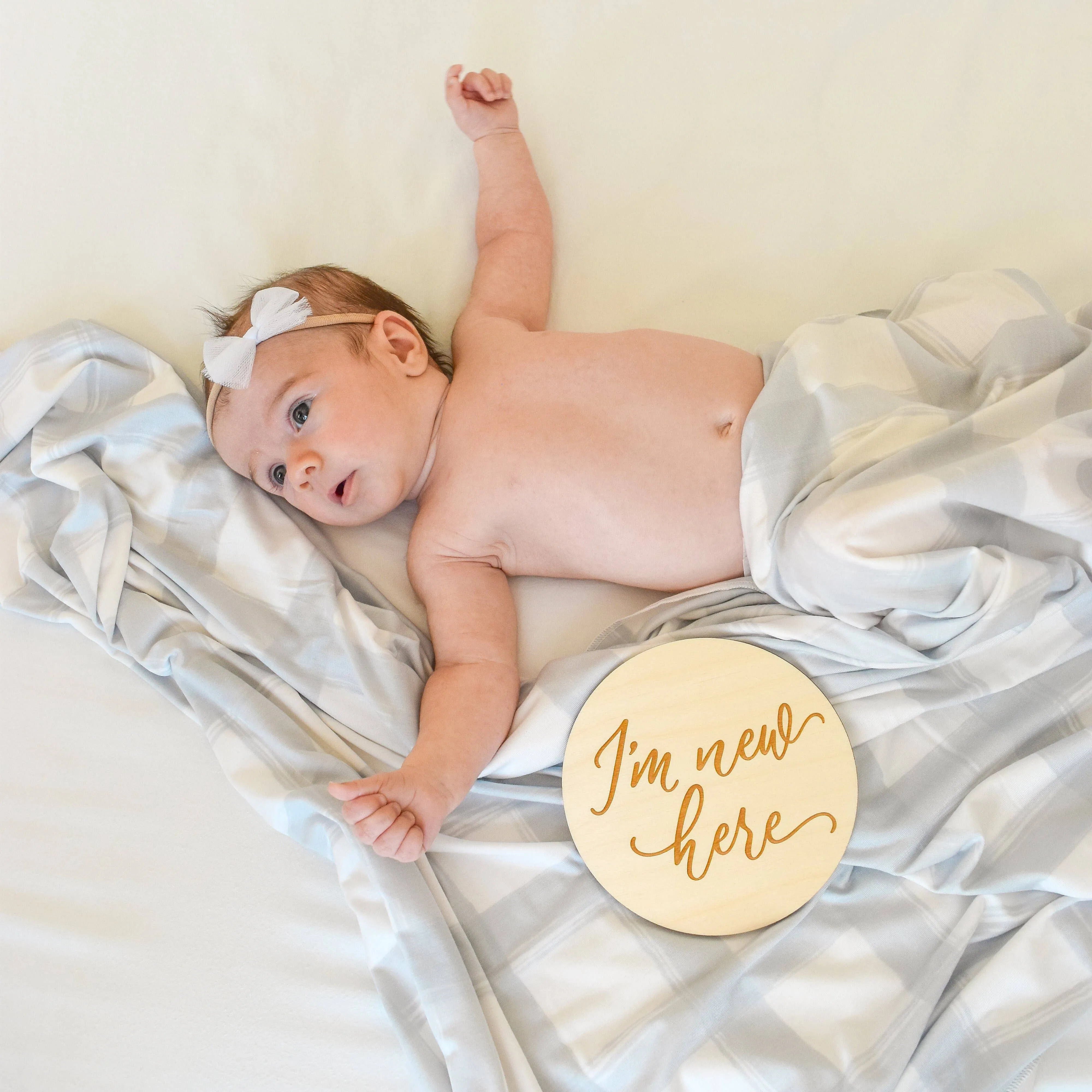 Extra Soft Stretchy Knit Swaddle Blanket: French Gingham
